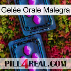 Gelée Orale Malegra 03